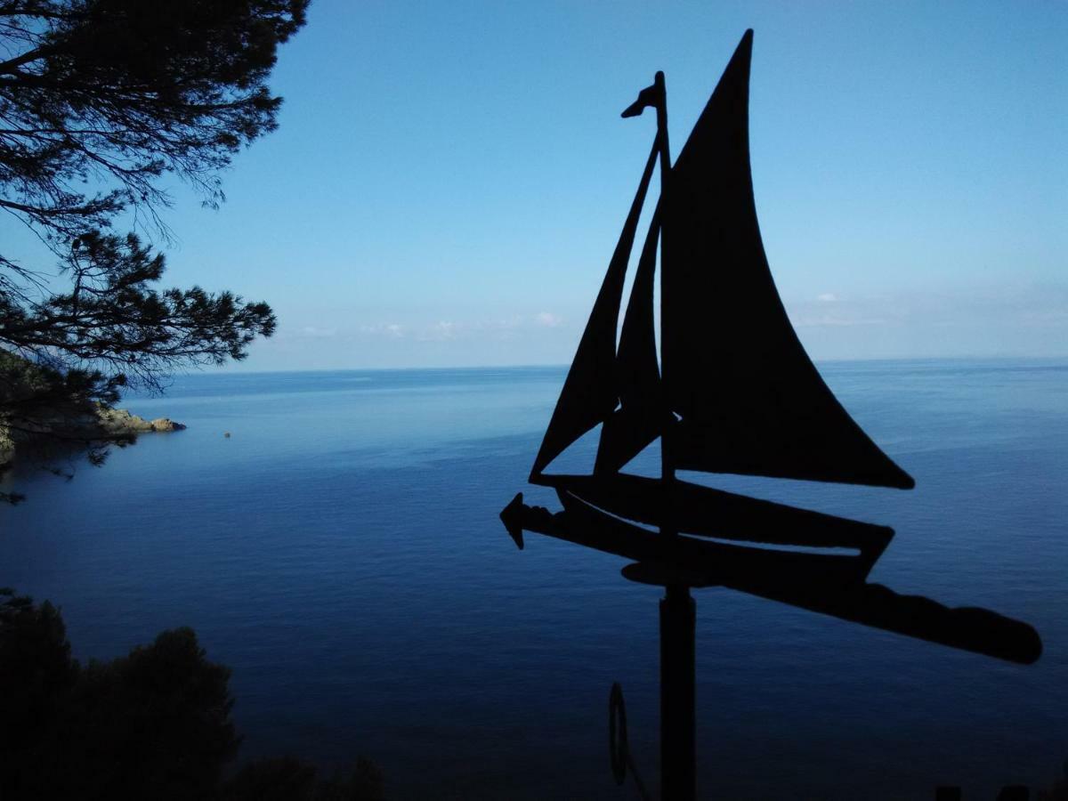Son Riera Petit Paradis Banyalbufar Exterior photo